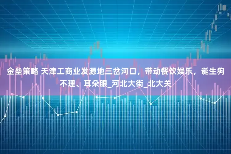 金垒策略 天津工商业发源地三岔河口，带动餐饮娱乐，诞生狗不理、耳朵眼_河北大街_北大关