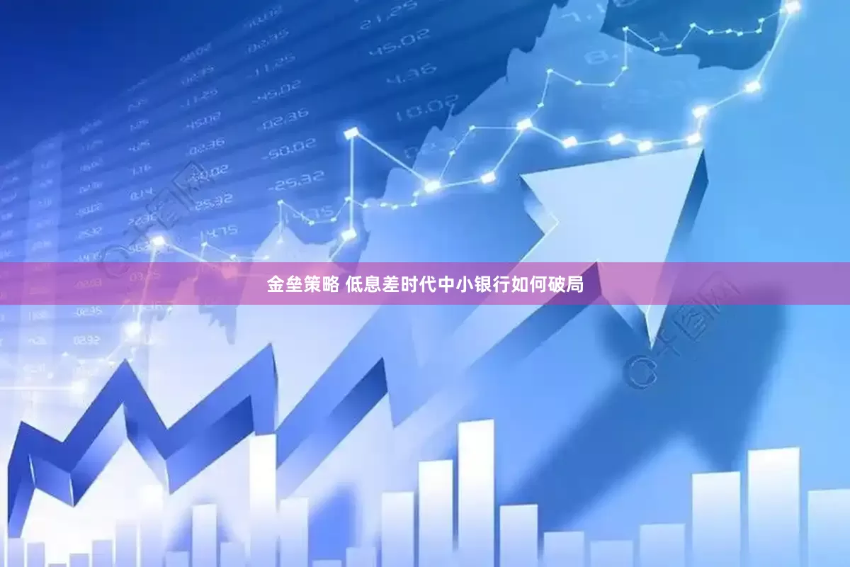 金垒策略 低息差时代中小银行如何破局