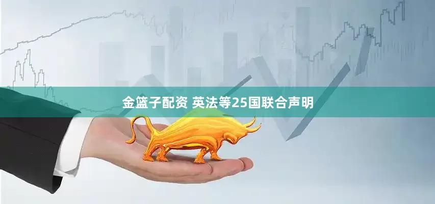 金篮子配资 英法等25国联合声明
