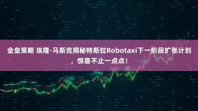 金垒策略 埃隆·马斯克揭秘特斯拉Robotaxi下一阶段扩张计划，惊喜不止一点点！