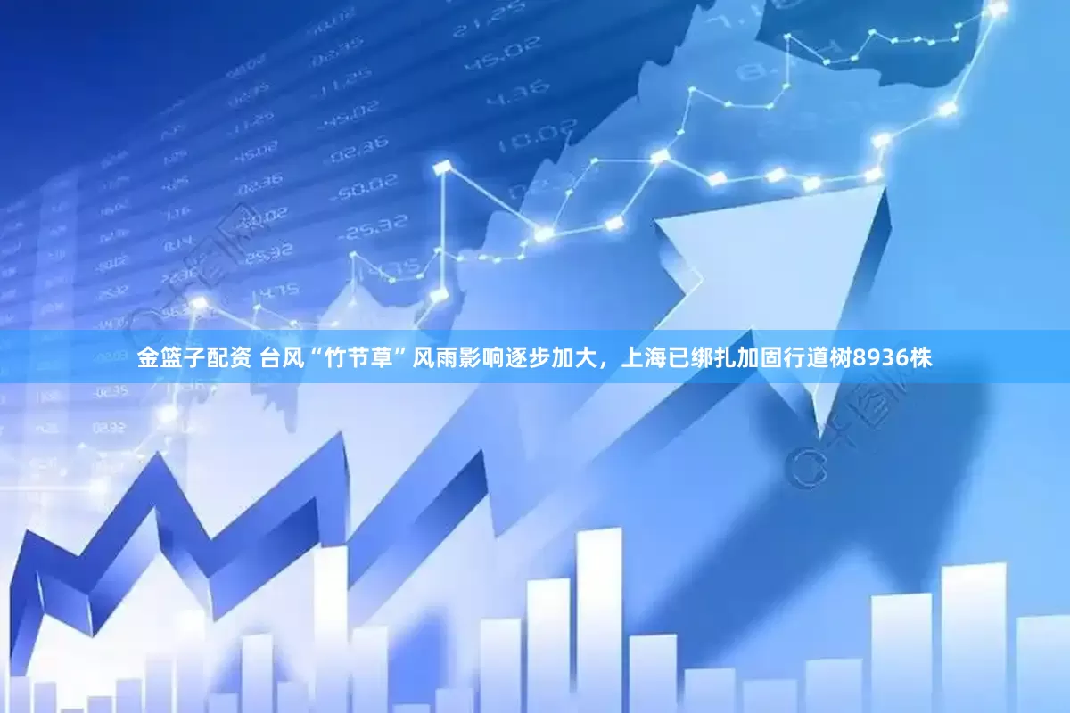 金篮子配资 台风“竹节草”风雨影响逐步加大，上海已绑扎加固行道树8936株
