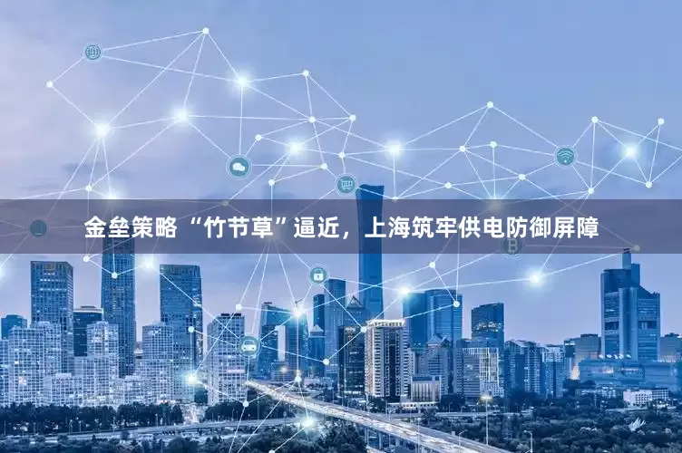 金垒策略 “竹节草”逼近，上海筑牢供电防御屏障