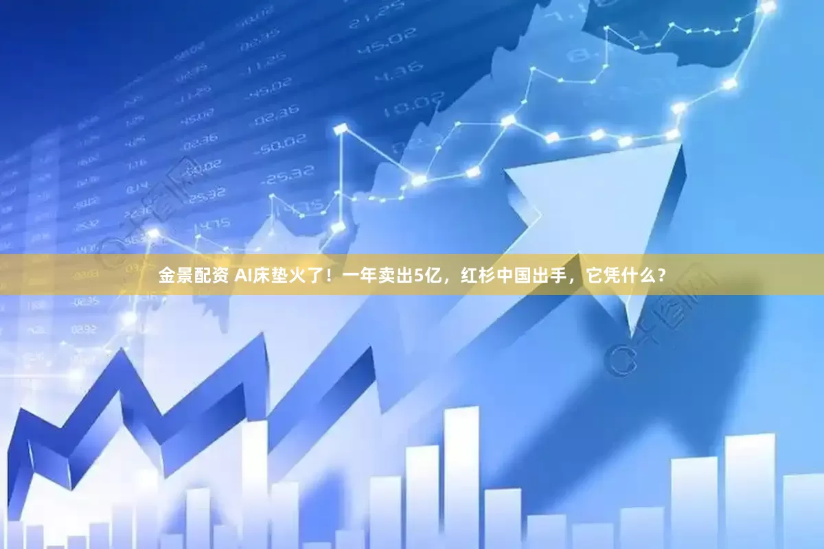 金景配资 AI床垫火了！一年卖出5亿，红杉中国出手，它凭什么？