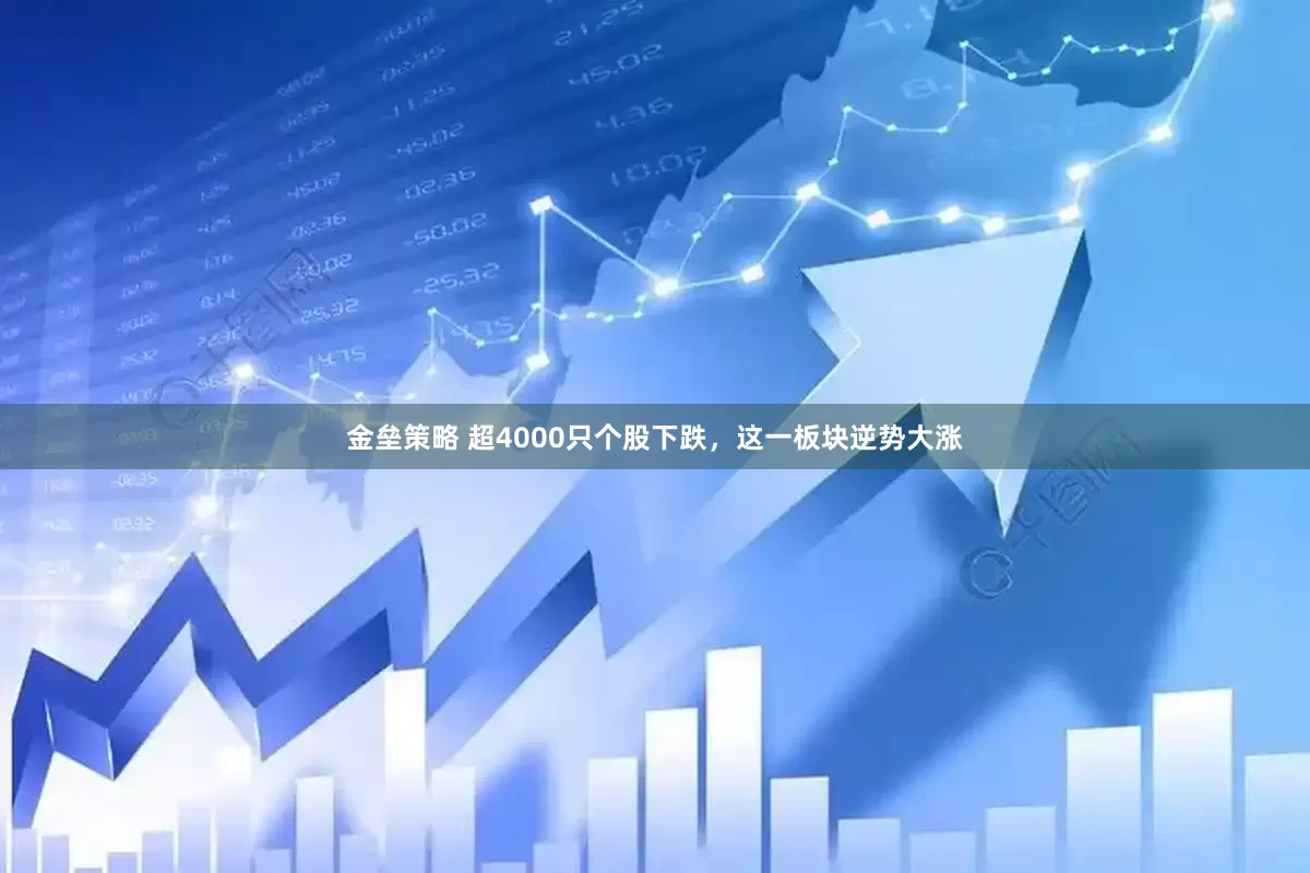 金垒策略 超4000只个股下跌，这一板块逆势大涨