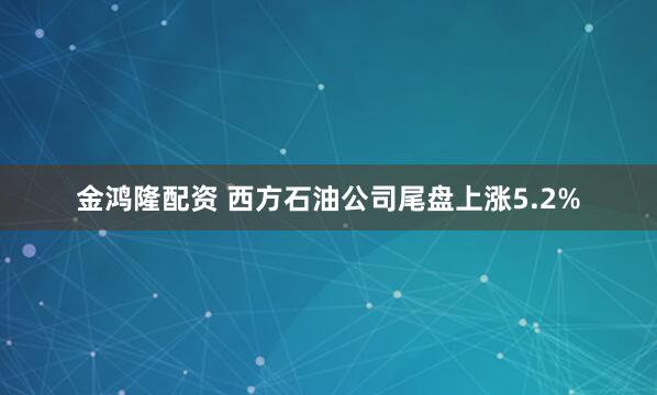 金鸿隆配资 西方石油公司尾盘上涨5.2%